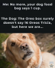 1740411693340.png