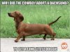 IMG_0159.jpeg