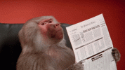 1741990405306.gif