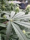 IMG_4062.jpeg