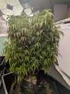 PXL_20250322_162209920.jpg