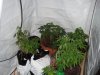 DSC02797.jpg