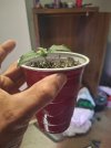 20250324_165321.jpg