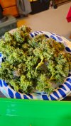 FCOF3 Plate of buds.jpg