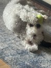 IMG_3182.jpeg