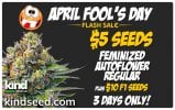Medium Best April Fools Sale.jpg Medium Best April Fools Sale.jpg