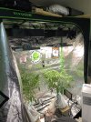 IMG_9411.jpeg