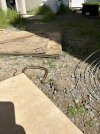 IMG_0312.jpeg