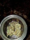 IMG_20250413_065704696.jpg