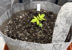 Autos__04_12_2025_06.jpg