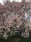 IMG_1219.JPEG