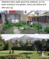 1745358342533.png