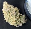 IMG_0870.jpeg