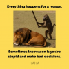 1746210351501.png