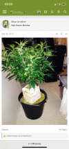 IMG_3538.png IMG_3538.png