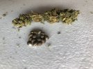 IMG_2801.jpeg