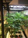 IMG_1264.JPEG