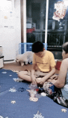 Recording2025-05-08184635-ezgif.com-optimize.gif