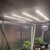 phlizon_phx4_full-spectrum_led_grow_light_240w (1).jpg
