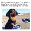 1747245745069.png