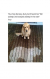 1747432067850.png