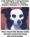 1747499187767.png