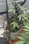 Autos__05_19_2025_02.jpg