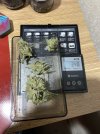 IMG_0101.jpeg