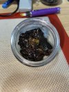 IMG_0116.jpeg