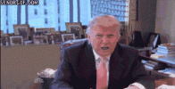 IMG_0358.gif