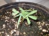 DSCF4119.jpg