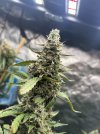IMG_6282.jpeg