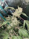 IMG_0169.jpeg