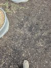 20250610_184234.jpg