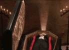 rising from the dead funny.gif
