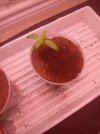 20250613_115803.jpg