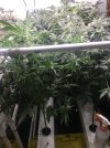 IMG_1350.JPEG