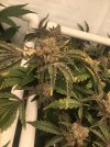 IMG_1355.JPEG