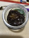 IMG_0214.jpeg