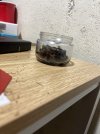 IMG_0215.jpeg