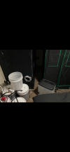 IMG_0242.png