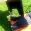 20250617_131834.jpg