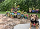 IMG_3271.jpeg