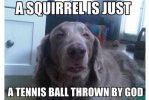 IMG_8688.jpeg
