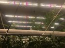 IMG_1379.JPG