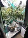 IMG_0263.jpeg
