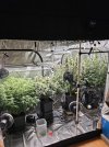 Day 69 from sprout.jpg