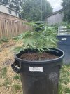 IMG_8712.jpeg
