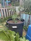IMG_8710.jpeg