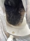IMG_0180.jpeg